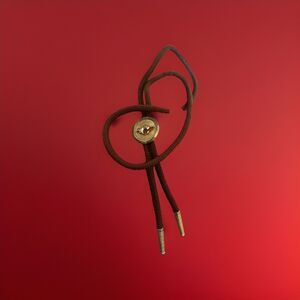 Shriners Bolo Tie Gold Tone Western EUC Fraternity Masonic VTG Brown Cord